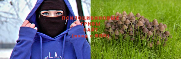 а пвп мука Абинск
